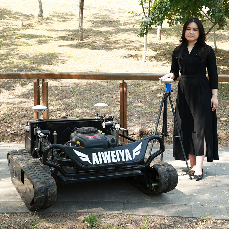 Customized NEW Powered Lawn Mo - Outdoor Power Tools avaliação e preço